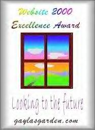 Website 2000 Excellence Award - April 2000